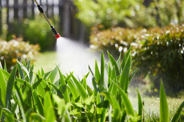 24/7 Emergency Cockroach Control experts in Corydon, IA